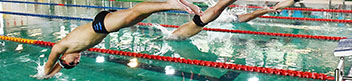 康乐及文化事务署调查审视报告 - 香港业余游泳总会及其辖下三个属会使用获优先分配的公众游泳池泳线事宜