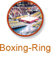 Queen Elizabeth Stadium - Boxing-Ring